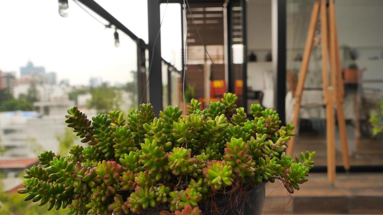 Loft Remedios - Penthouse Cdmx - Areas Comunes Compartidas メキシコシティ エクステリア 写真
