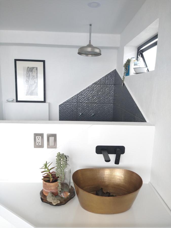 Loft Remedios - Penthouse Cdmx - Areas Comunes Compartidas メキシコシティ エクステリア 写真