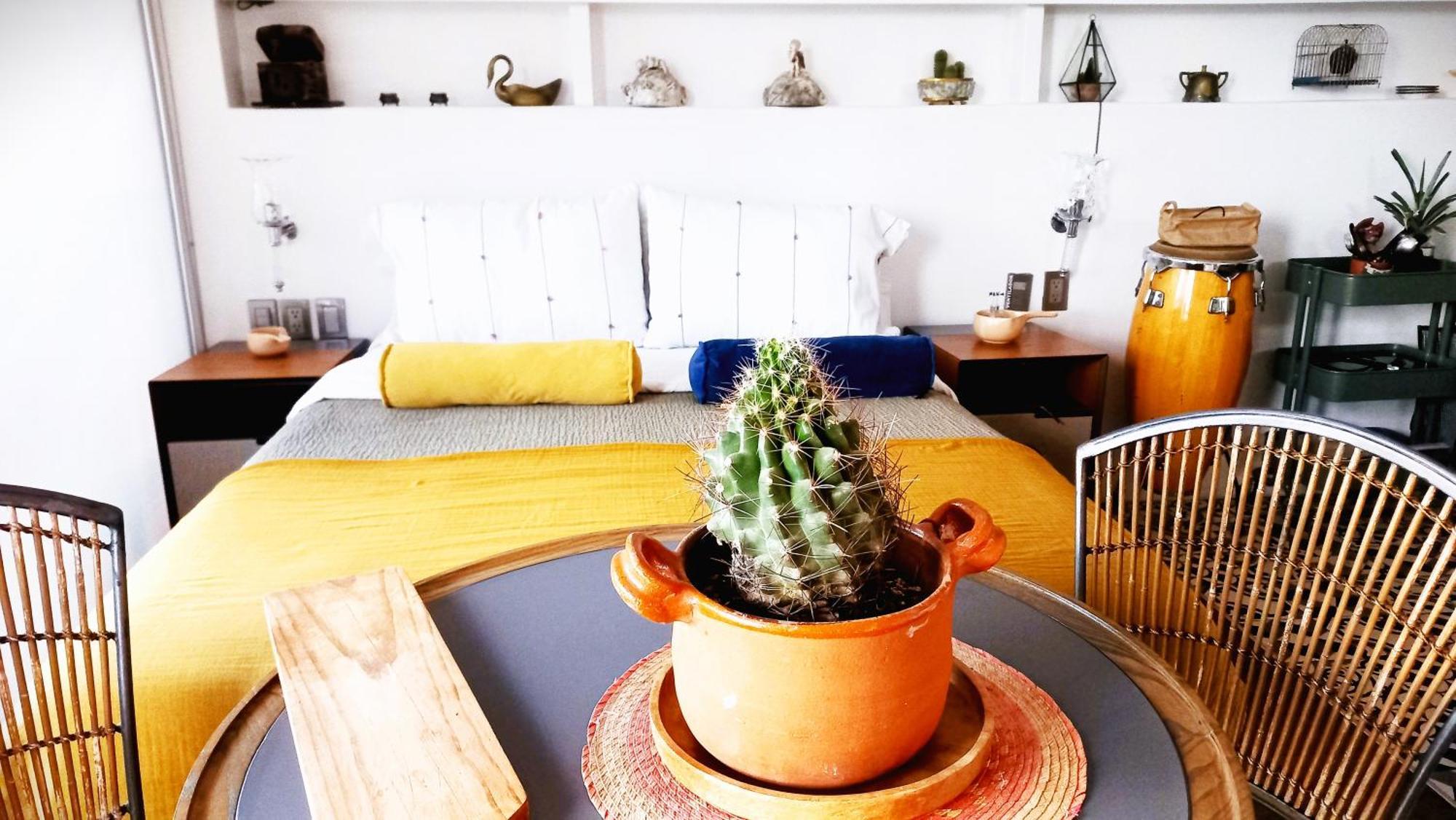 Loft Remedios - Penthouse Cdmx - Areas Comunes Compartidas メキシコシティ エクステリア 写真